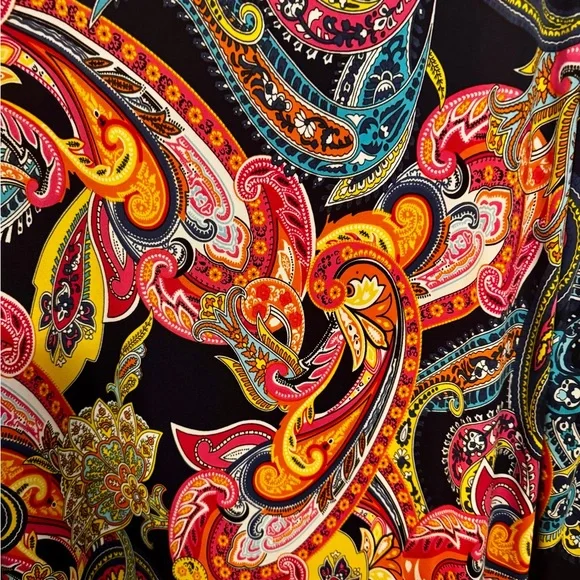 Vibrant Paisley Maxi Dress - Picture 3 of 3